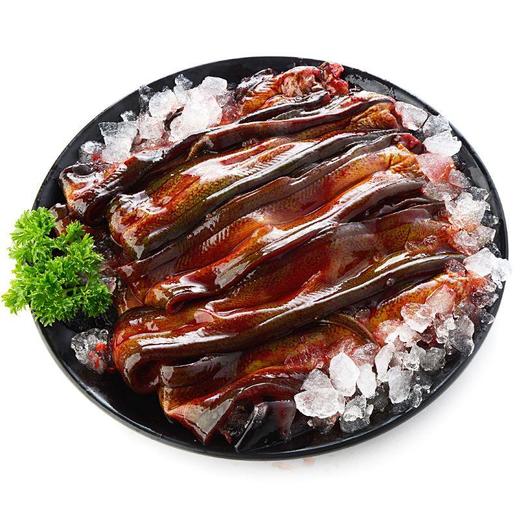 鲜鳝鱼 约500g/袋 商品图0