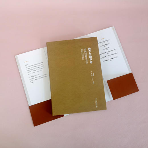 数字金融革命：中国经验及启示   作者：黄益平，〔美〕杜大伟（David Dollar） 北京大学出版社 商品图4