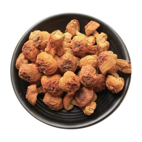 长白山特产 松茸 260g袋 商品图1