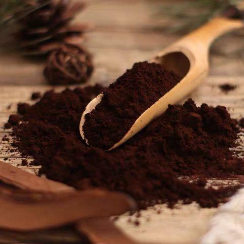 长白山特产 灵芝孢子粉 300g瓶 商品图0