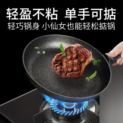 意大利原装进口 FLONAL火山岩黑金系列煎锅28cm家用燃气灶电磁炉 商品图4