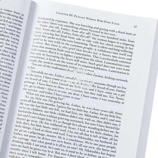【中商原版】卡拉马佐夫兄弟 诺顿文学解读系列 英文原版 Norton Critical Editions The Brothers Karamazov Fyodor Dostoevsky 商品图3
