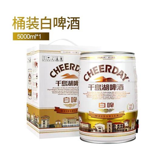 11°P千岛湖啤酒 5000ml一桶  经典原浆啤酒罐装 商品图2