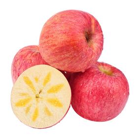 阿克苏苹果 500g