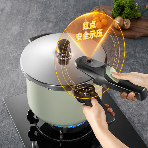 炊大皇本味单柄压力锅24cm（优雅绿）（配锅盖） 商品图1