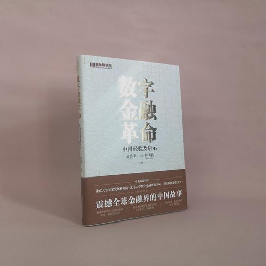 数字金融革命：中国经验及启示   作者：黄益平，〔美〕杜大伟（David Dollar） 北京大学出版社 商品图2