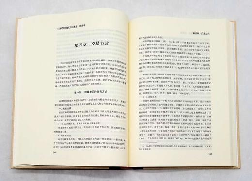 《中国西部民族文化通志：贸易志》《中国西部民族文化通志：旅游志》，精装，16开，瞿明安等主编，云南人民出版社2014年左右版，两册定价180元，售价55元。品相9成。 商品图8