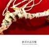 长白山特产 林下参 60公分 商品缩略图0