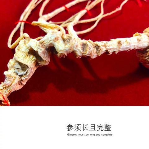 长白山特产 林下参 60公分 商品图0