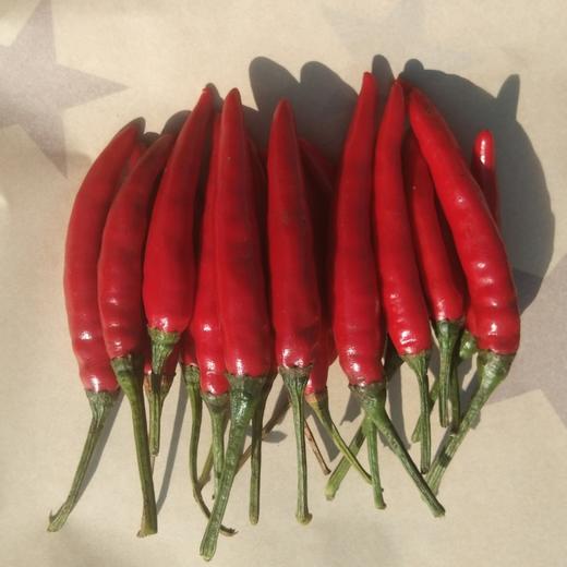 朝天椒 商品图0
