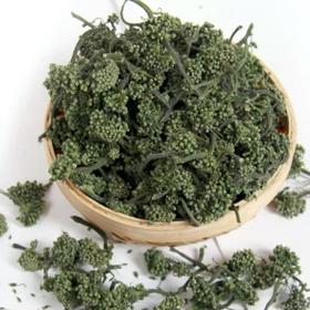 长白山特产 人参花茶 120g瓶