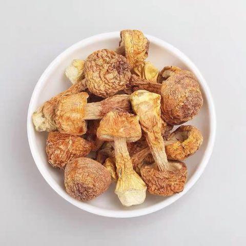 长白山特产 松茸 260g袋 商品图0