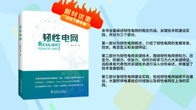 2022年第17期重点书推荐《韧性电网》 
