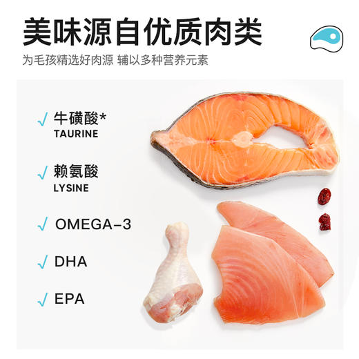 LORDE里兜宠物零食肉罐头100g*6罐 商品图3