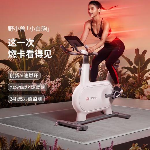 野小兽YESOUL动感单车家用运动健身器材磁控健身车小白驹室内脚踏车M2 小白驹-标准版 商品图2