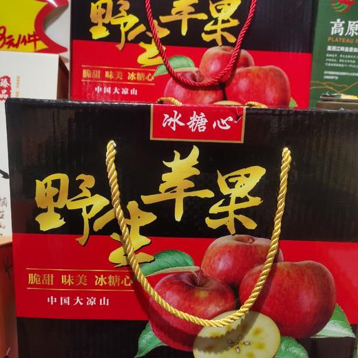 大凉山野生苹果一箱 商品图0