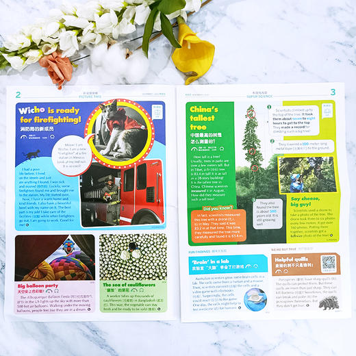 《二十一世纪英文报》小学/初中/高中 年级自选 商品图4