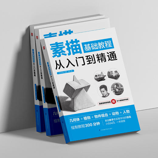 素描基础教程从入门到精通 王金 著 绘画 商品图1
