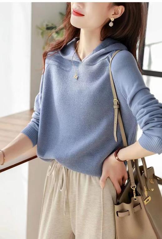 新款春秋宽松休闲连帽卫衣女韩版羊毛针织打底帽衫内搭毛衣上衣YZZ-89899 商品图2