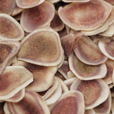 长白山特产 鹿茸片 骨片20g袋 商品图1