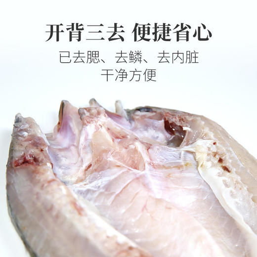 【开背三去】 珠海白蕉开背海鲈鱼 生鲜 400-500g/条 （产品微腌制，烹饪时候无需再加盐或少加盐） 商品图1