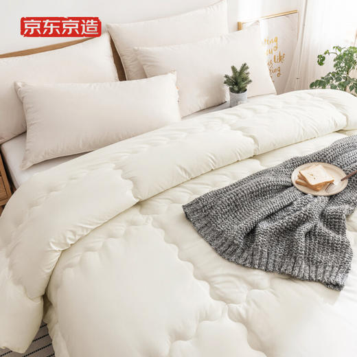 京东京造磨毛纤维被四季款200×230 商品图0