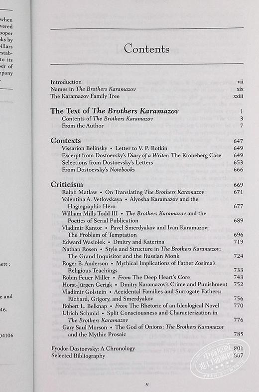 【中商原版】卡拉马佐夫兄弟 诺顿文学解读系列 英文原版 Norton Critical Editions The Brothers Karamazov Fyodor Dostoevsky 商品图5