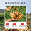 益健优选有机姜粉 商品缩略图1