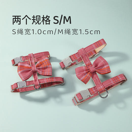 【新款蝴蝶背猫咪牵引绳！】新品蝴蝶结猫咪牵引带工字型胸背猫绳子外出防挣脱溜猫绳猫牵引绳 商品图3