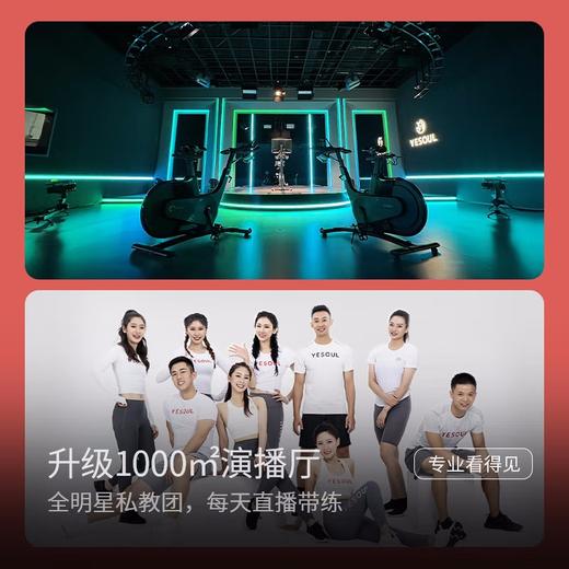 野小兽YESOUL动感单车家用运动健身器材磁控健身车小白驹室内脚踏车M2 小白驹-标准版 商品图6