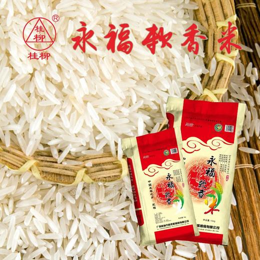 【员工专享】桂柳~永福软香米 商品图2