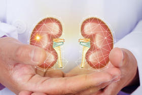 补肾，男女有别