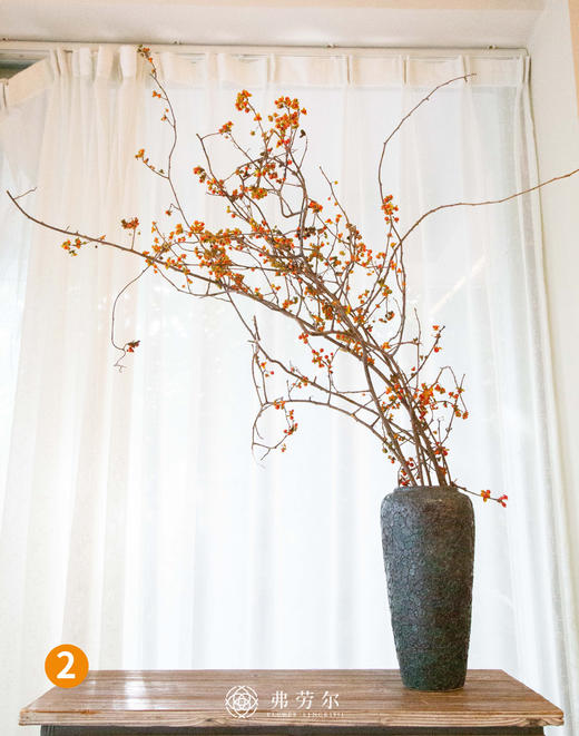 南蛇藤 商品图0