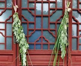 艾草养生，你用对了吗？细数各类艾产品的优势！