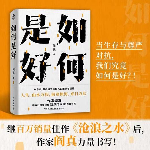 如何是好    闫真 商品图1