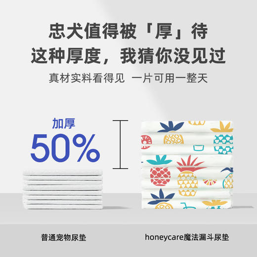 好命天生（Honeycare） 宠物尿垫狗狗尿片尿不湿魔法漏斗除味系列狗尿布 商品图4