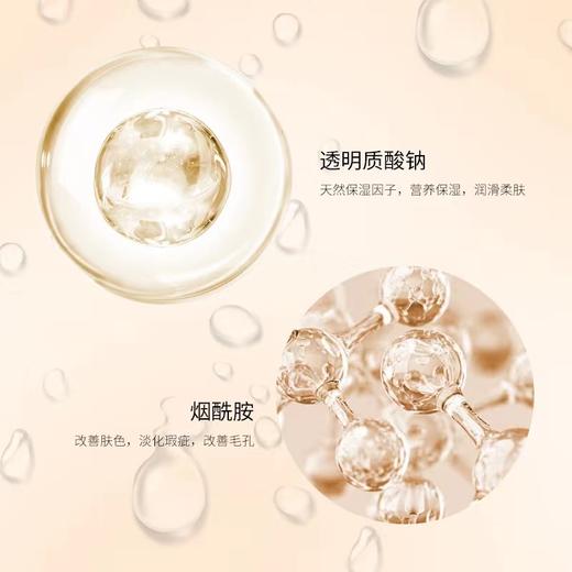 兰薇欧 益生菌面膜 5贴/盒 商品图4