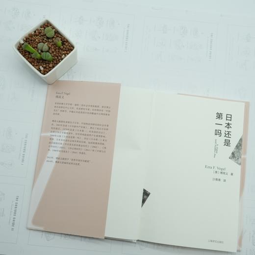 日本还是第一吗? 商品图3