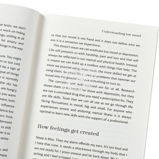 【中商原版】为什么没人早点告诉我？	Why Has Nobody Told Me This Before	Julie Smith 英文原版 商品图3