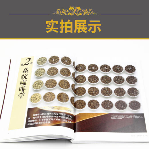 咖啡品鉴大全 田口护 著 烹饪美食 商品图3