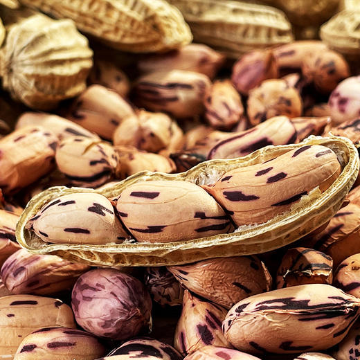 云南七彩花生 野地种植 富含花青素 脂肪含量低 蛋白质含量高 口感自然清甜 商品图0