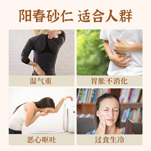 【团购上新】同有三和精选·阳春砂仁 | 道地甄选 药食同源 | 芳香浓郁 | 自然生长，手工采摘 | 做法简单，可干吃、泡水、泡茶、炖汤、煮粥 | 100g/罐 商品图1