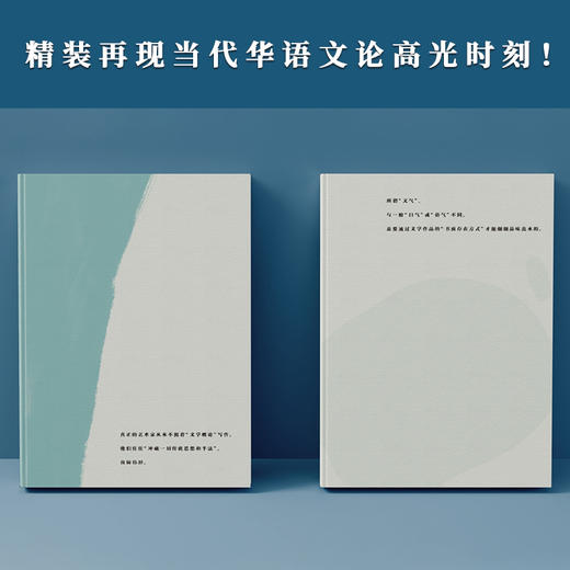 黄子平经典代表作（全两册）：沉思的老树的精灵+文学的意思 商品图4