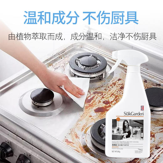 蔬果园阳光橘子油污净（ 强效洁净型）（1+1特惠装）-2137 商品图1