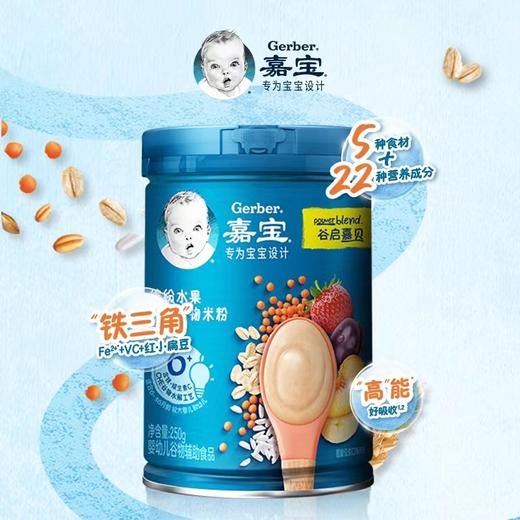 嘉宝米粉250g 商品图0