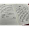 品中国文人 苏东坡三百篇 商品缩略图1