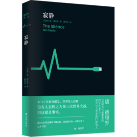 寂静 德里罗作品