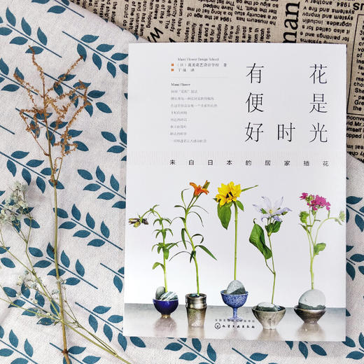 有花便是好时光 来自日本的居家插花 真美花艺设计学校 著 艺术 商品图2