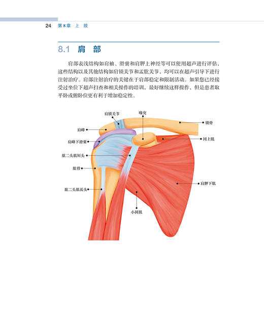 超声引导下肌肉骨骼操作实用图谱 陶涛 姜妤译校 疼痛学运动医学康复医学临床操作参考书 北京大学医学出版社9787565927416 商品图3