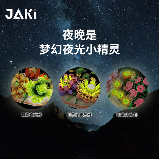 佳奇-多肉系列盆栽积木（夜光） 商品图2